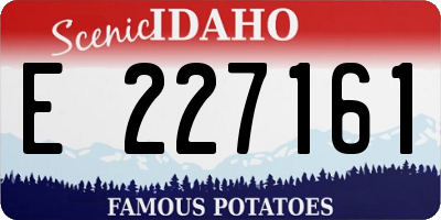 ID license plate E227161
