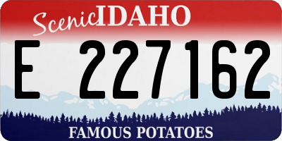ID license plate E227162