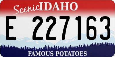 ID license plate E227163