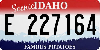 ID license plate E227164