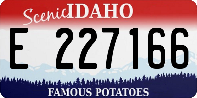 ID license plate E227166