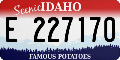 ID license plate E227170