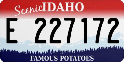 ID license plate E227172