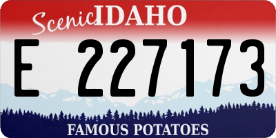 ID license plate E227173