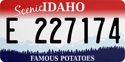 ID license plate E227174