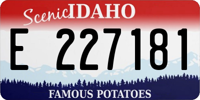 ID license plate E227181