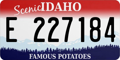 ID license plate E227184