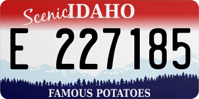 ID license plate E227185