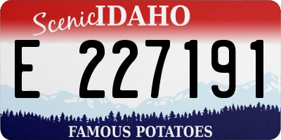 ID license plate E227191