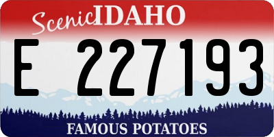 ID license plate E227193