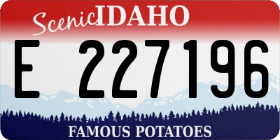 ID license plate E227196