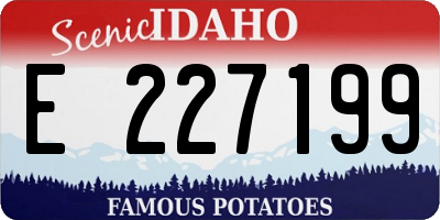ID license plate E227199