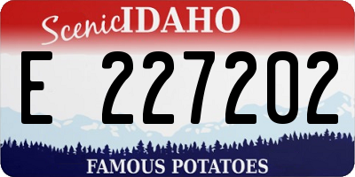 ID license plate E227202