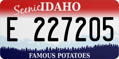ID license plate E227205