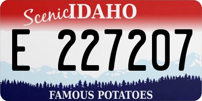 ID license plate E227207