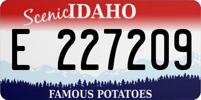 ID license plate E227209