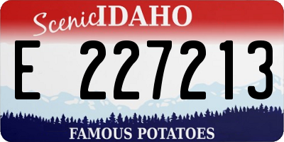 ID license plate E227213