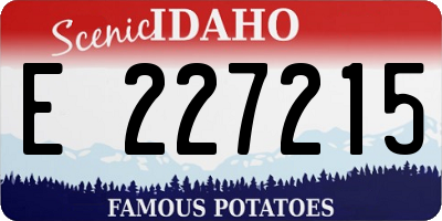 ID license plate E227215