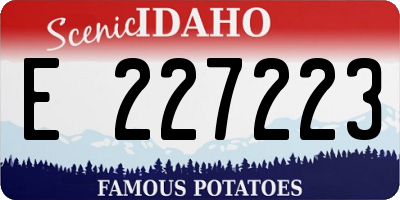 ID license plate E227223