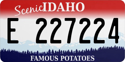 ID license plate E227224