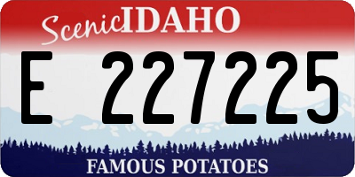 ID license plate E227225