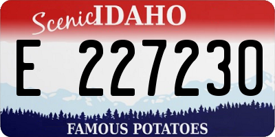 ID license plate E227230