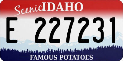 ID license plate E227231