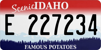 ID license plate E227234