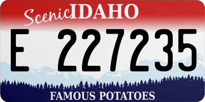ID license plate E227235