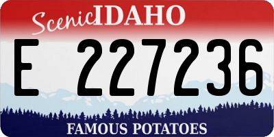ID license plate E227236
