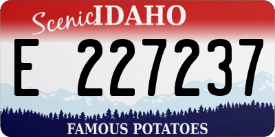 ID license plate E227237