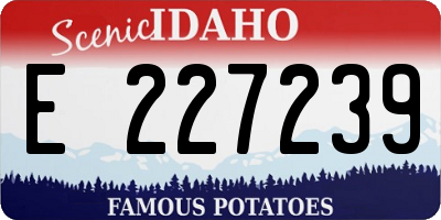 ID license plate E227239