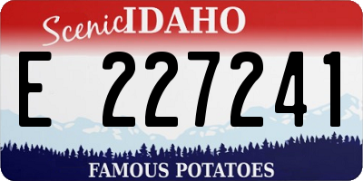 ID license plate E227241