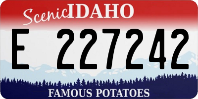 ID license plate E227242