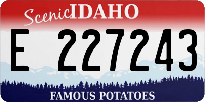 ID license plate E227243
