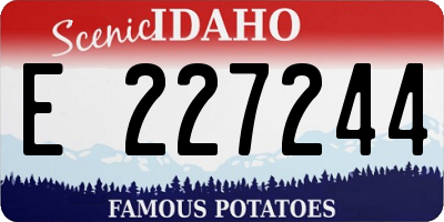 ID license plate E227244