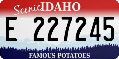 ID license plate E227245