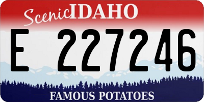 ID license plate E227246