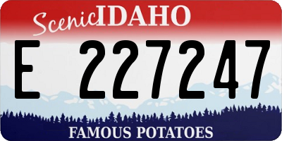 ID license plate E227247