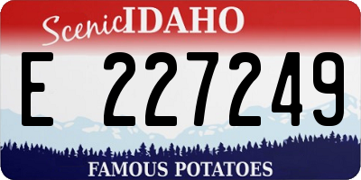 ID license plate E227249