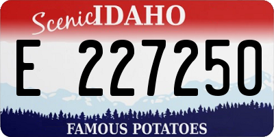 ID license plate E227250
