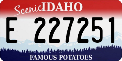 ID license plate E227251