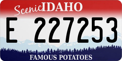 ID license plate E227253
