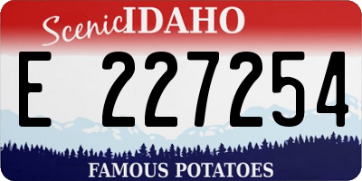 ID license plate E227254