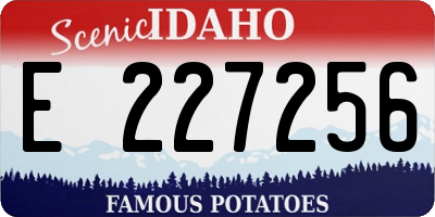 ID license plate E227256