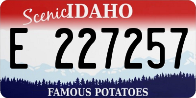 ID license plate E227257