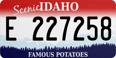 ID license plate E227258