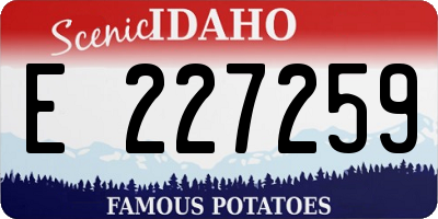 ID license plate E227259