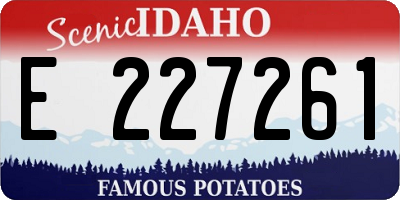 ID license plate E227261