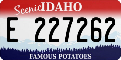 ID license plate E227262